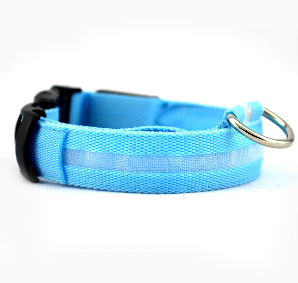 Safety LED Dog Collar