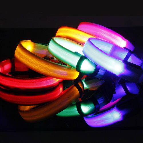 Safety LED Dog Collar