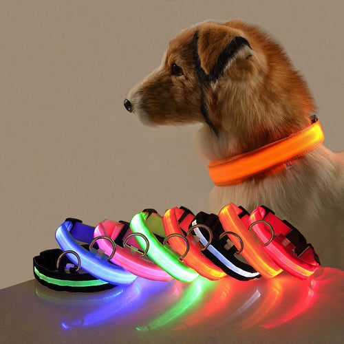 Safety LED Dog Collar