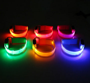 Safety LED Dog Collar